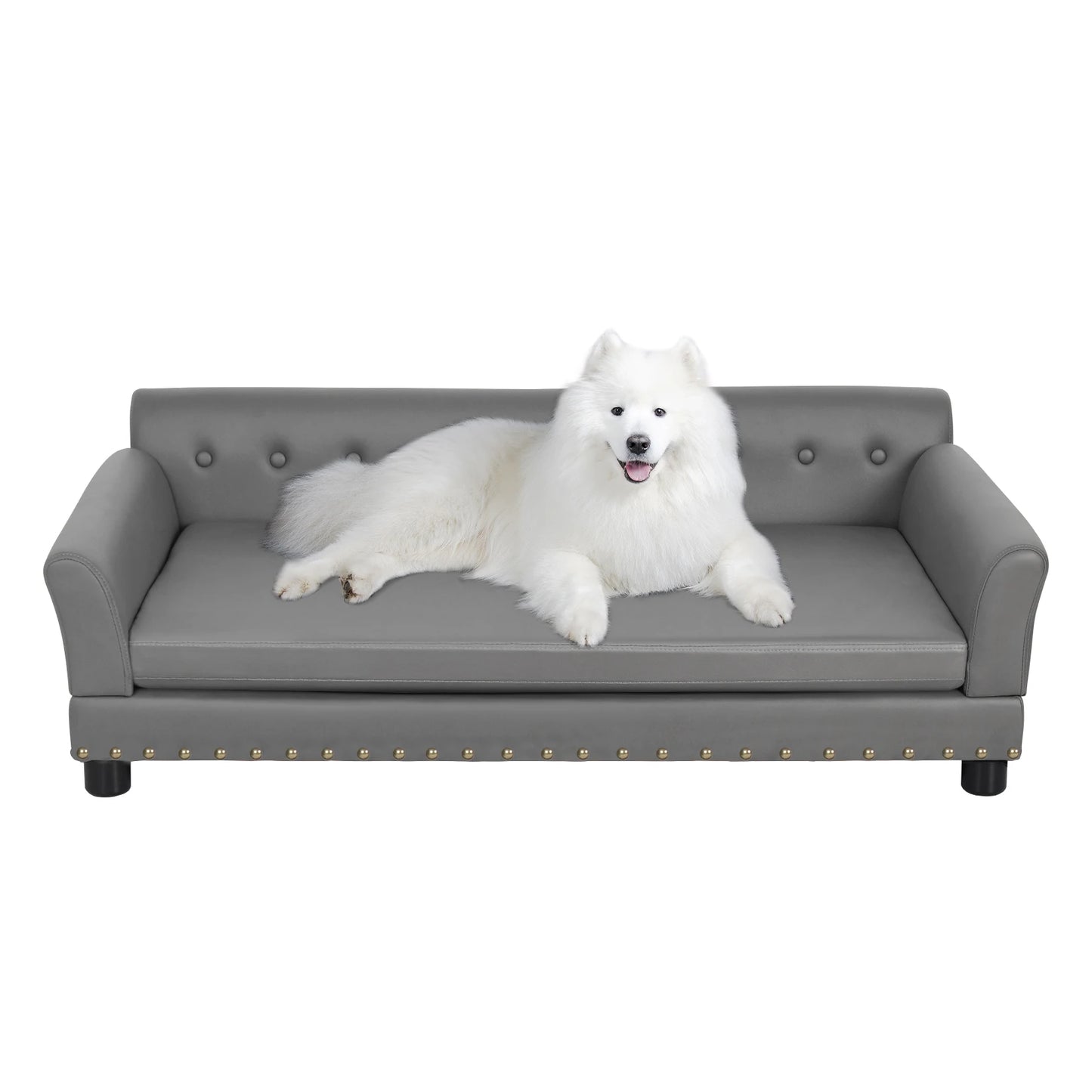 BINGOPAW Rectangle Elevated Dog Bed Modern Comfortable Sofa