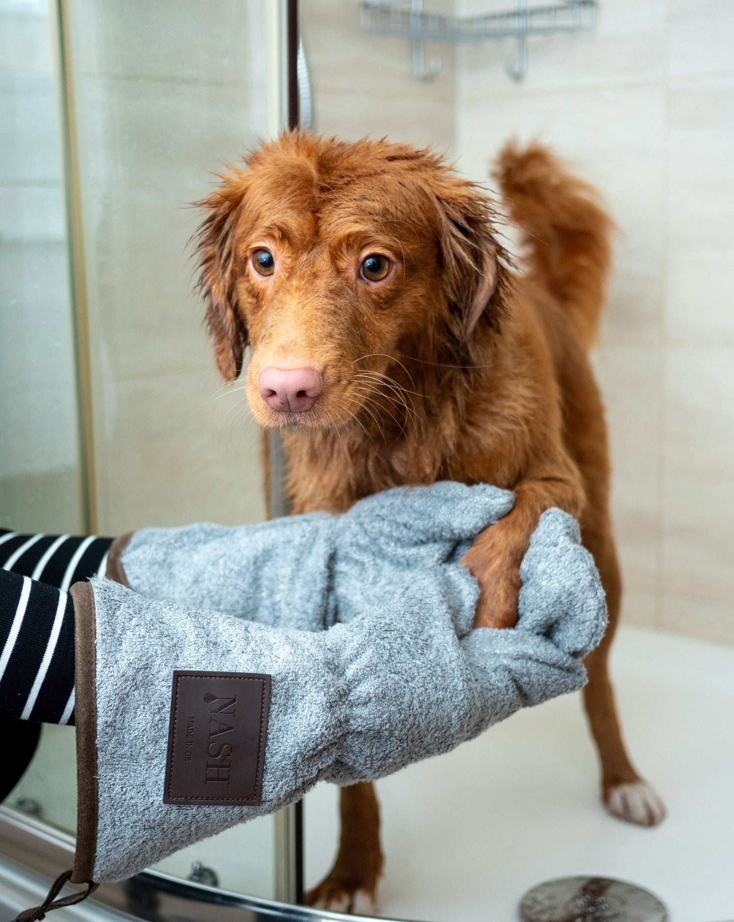Pet Grooming & Training