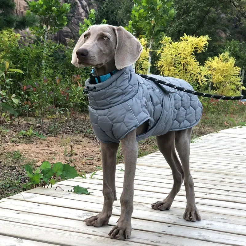 Miss Pet Winter Warm Dog Coat Reflective Snowsuit Down Jacket