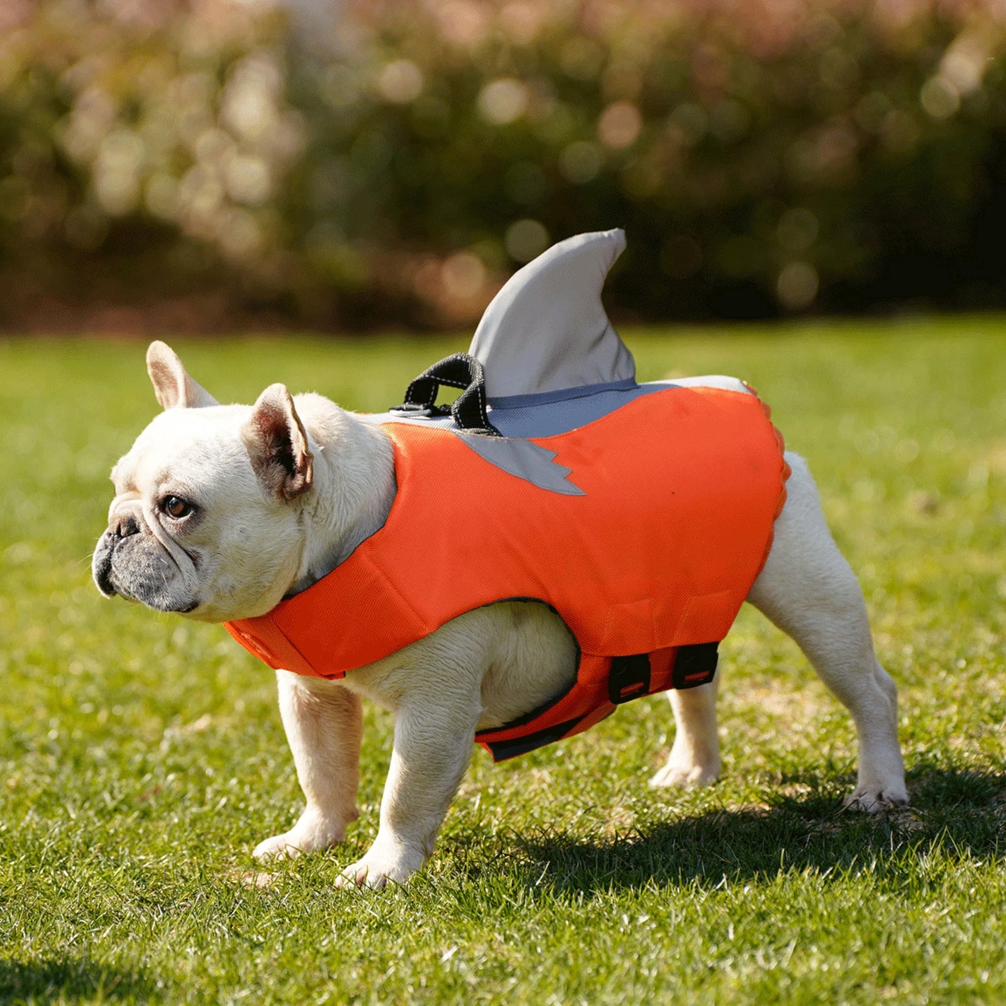 WANGUPET High Buoyancy Dog Life Jacket With Rescue Handle