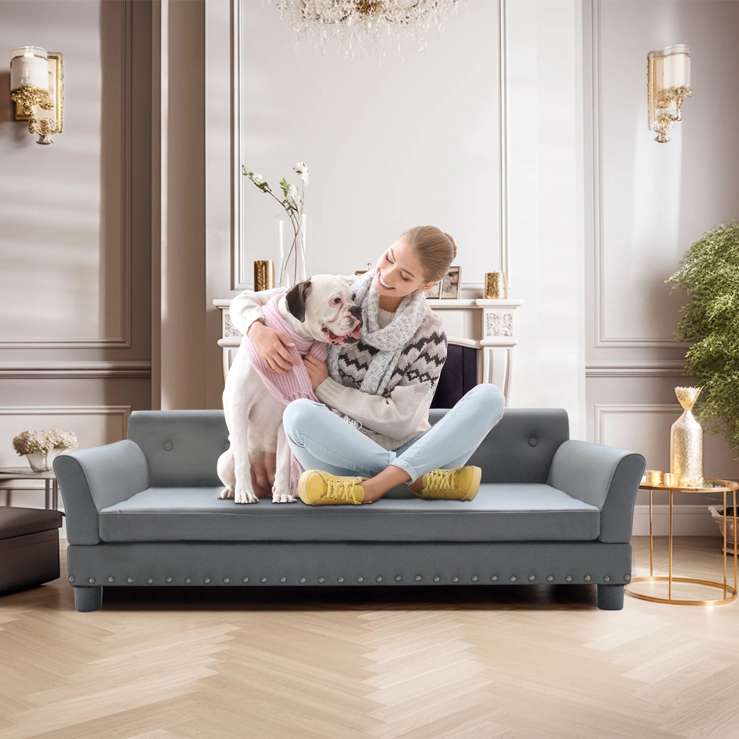 BINGOPAW Rectangle Elevated Dog Bed Modern Comfortable Sofa