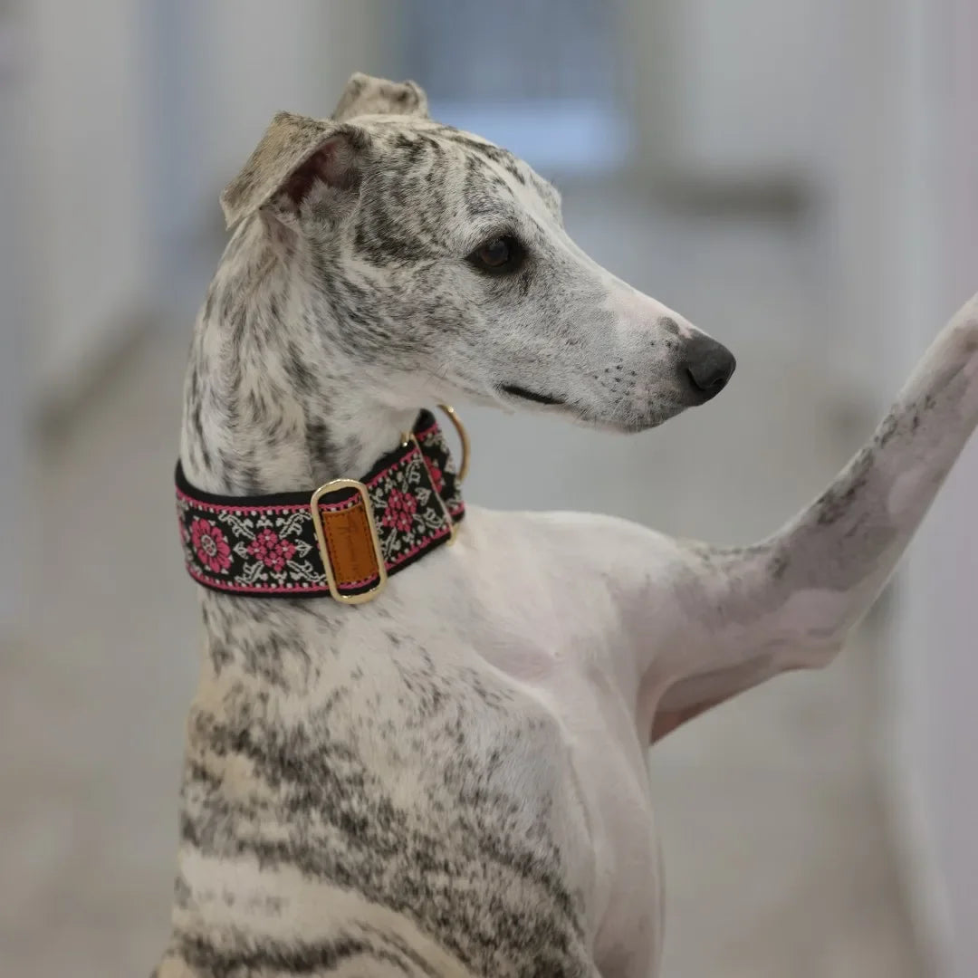 Martingale Dog Collar Greyhounds Whippets Lurchers