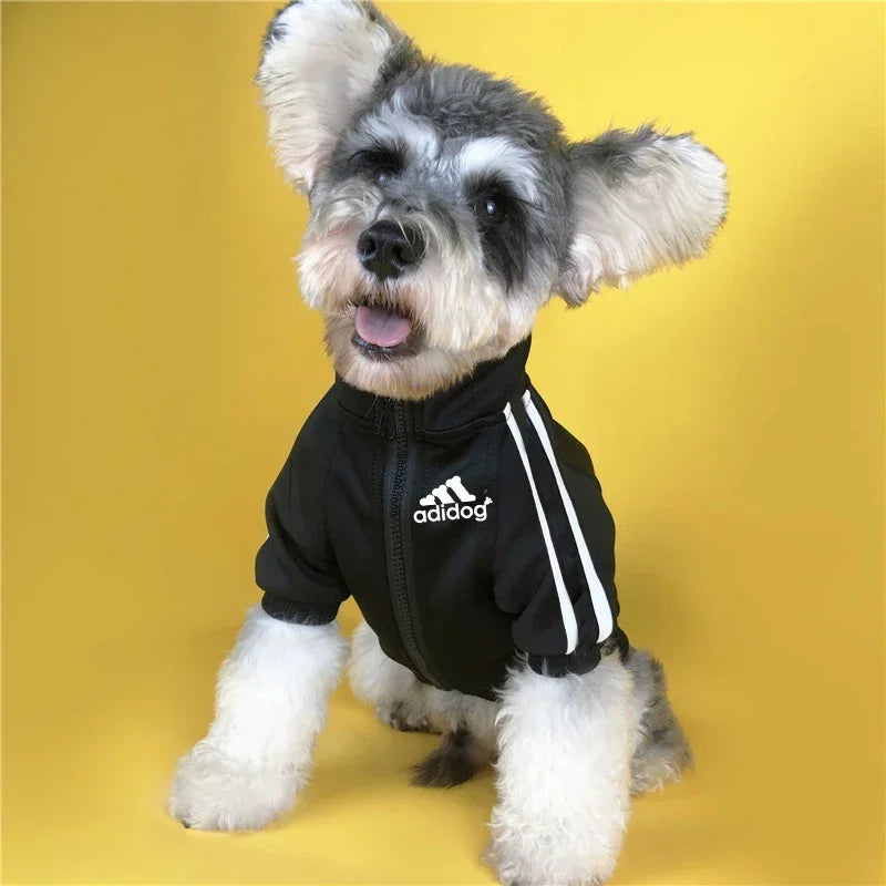 Baseball Dog Jacket For Winter Weather