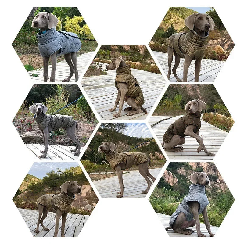 Miss Pet Winter Warm Dog Coat Reflective Snowsuit Down Jacket