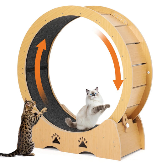 HiMISS Wooden Cat Exercise Wheel With Low Noise Carpeted Runway