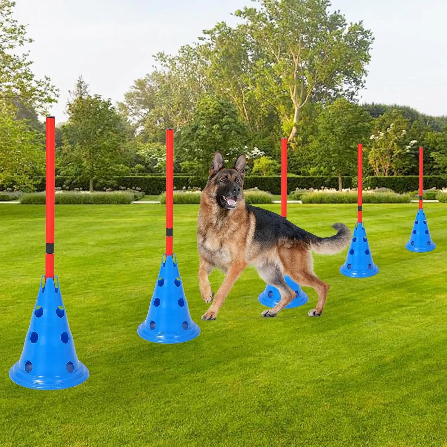 HiMISS Dog Agility Hurdle Cone Set Training Course Kit With 12 Cones