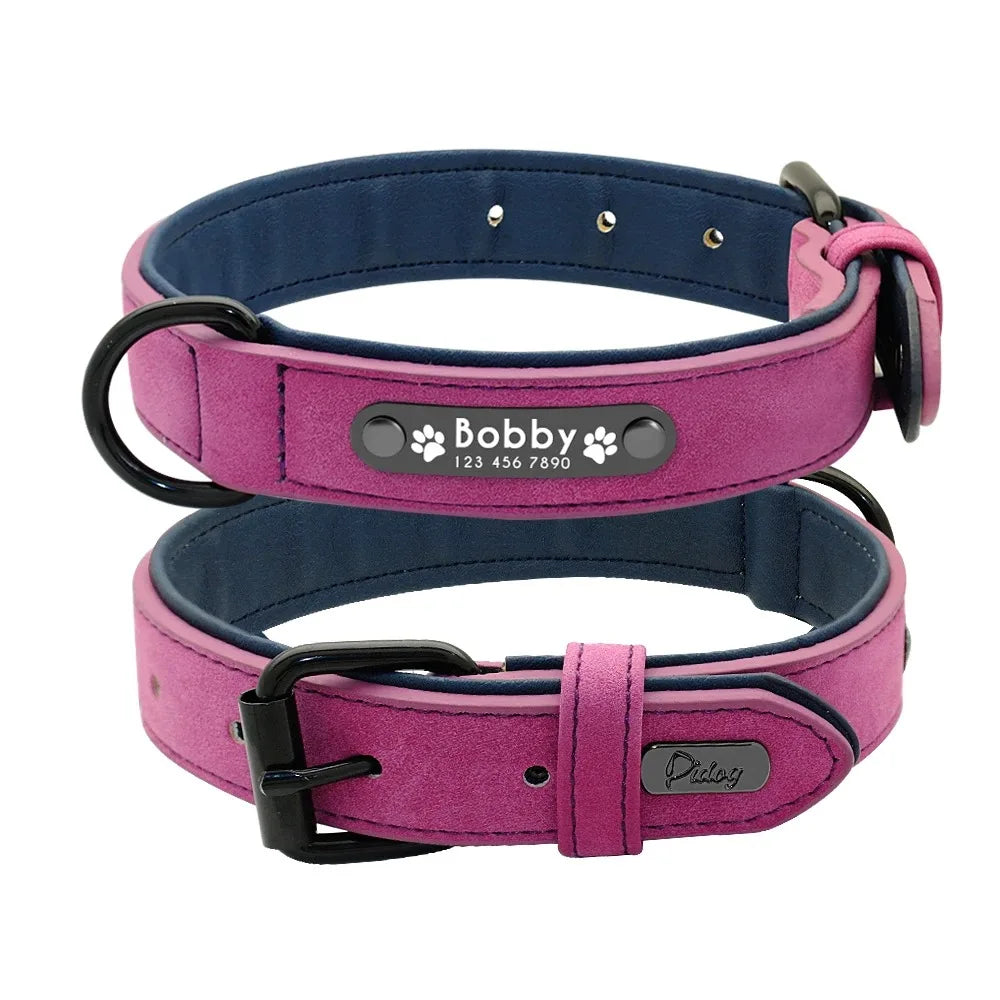 Personalized Name ID Leather Dog Collar With Custom Text