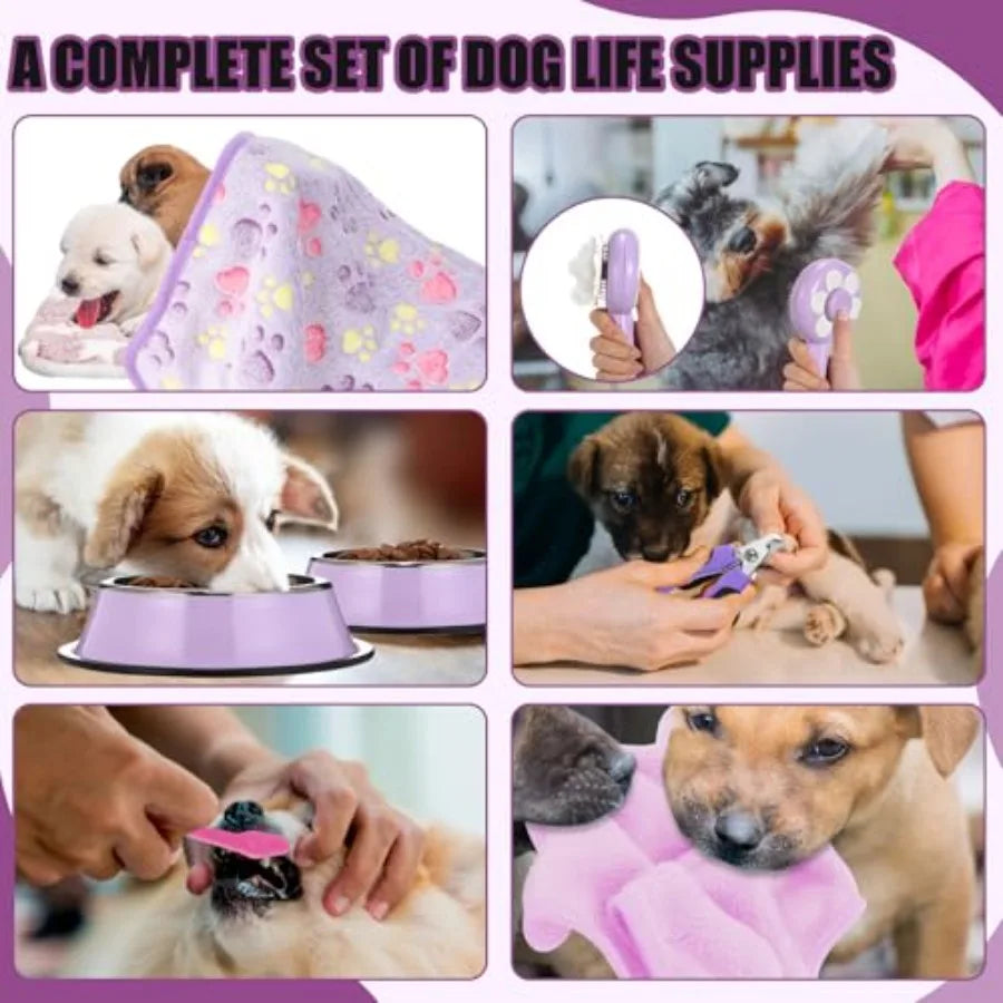 YAO HUI HUANG Puppy Essentials Starter Kit for Small Dogs