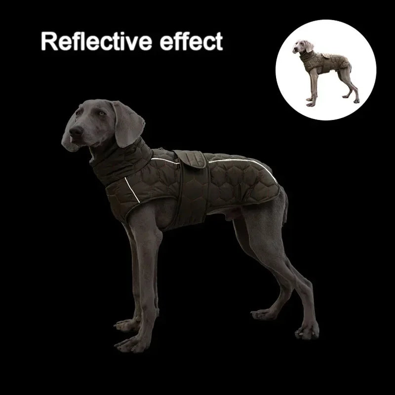 Miss Pet Winter Warm Dog Coat Reflective Snowsuit Down Jacket
