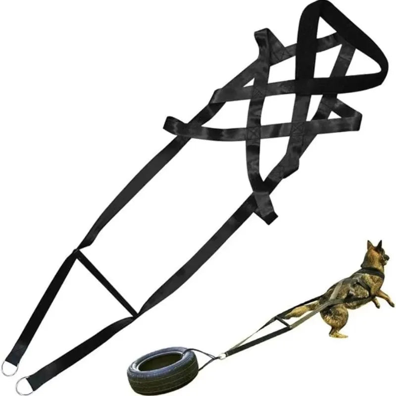 Working Dog Pull Training Leash Sled Belt For Behavior Training