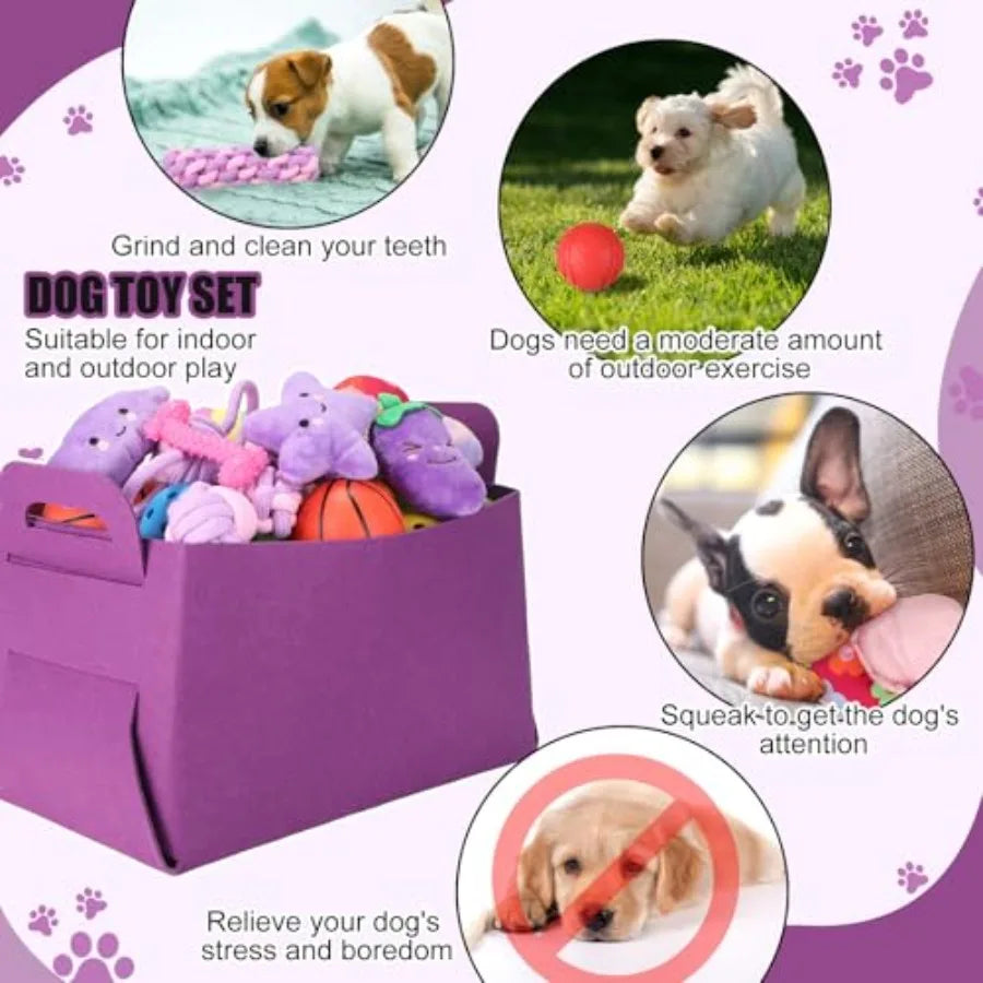 YAO HUI HUANG Puppy Essentials Starter Kit for Small Dogs