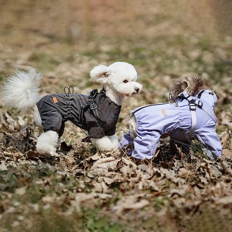 Dog Raincoat With Harness Waterproof Jacket Reflective Overalls