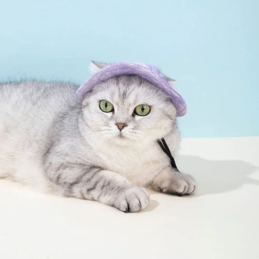 Pet Hat With Ear Holes for Dogs and Cats Adjustable