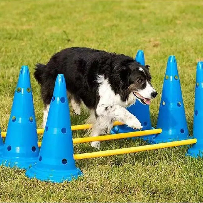 Pet Agility Training Set Jumping Bar Dog Obstacle Training Equipment