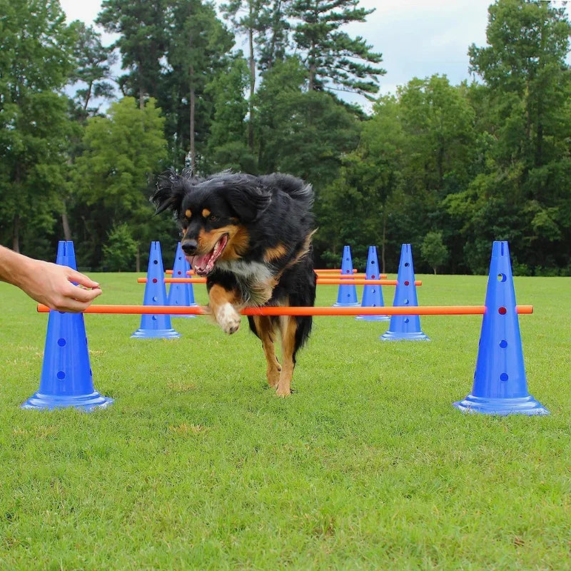 Pet Agility Training Set Jumping Bar Dog Obstacle Training Equipment