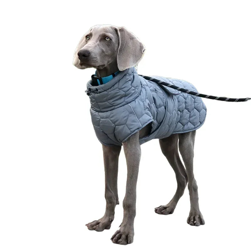 Miss Pet Winter Warm Dog Coat Reflective Snowsuit Down Jacket