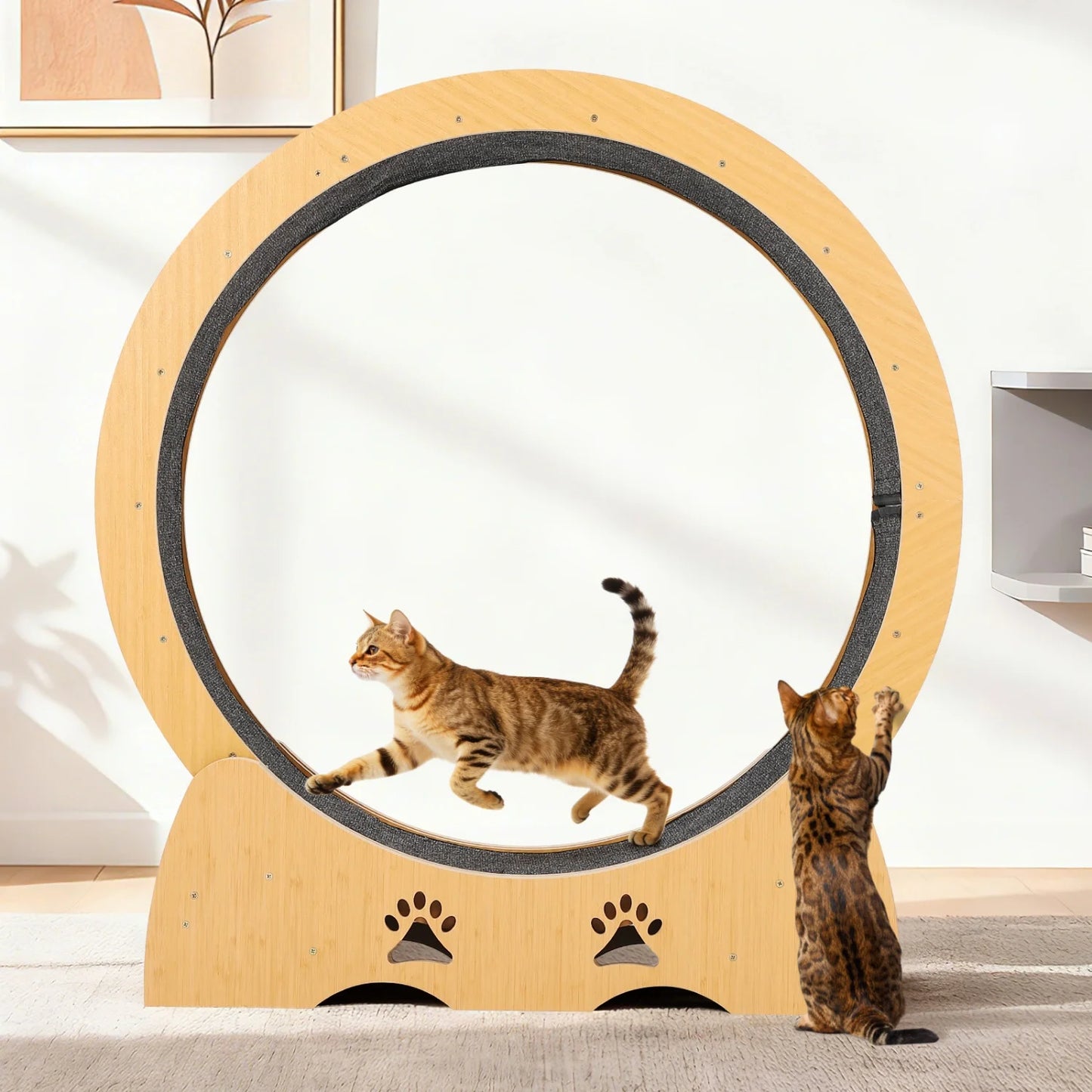 HiMISS Wooden Cat Exercise Wheel With Low Noise Carpeted Runway