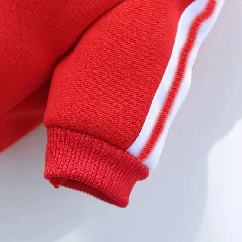 Baseball Dog Jacket For Winter Weather