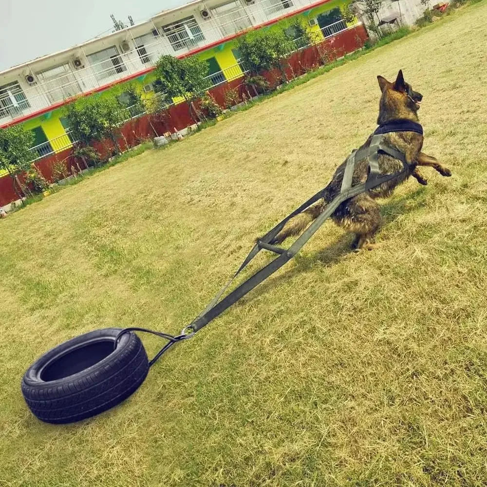 Working Dog Pull Training Leash Sled Belt For Behavior Training