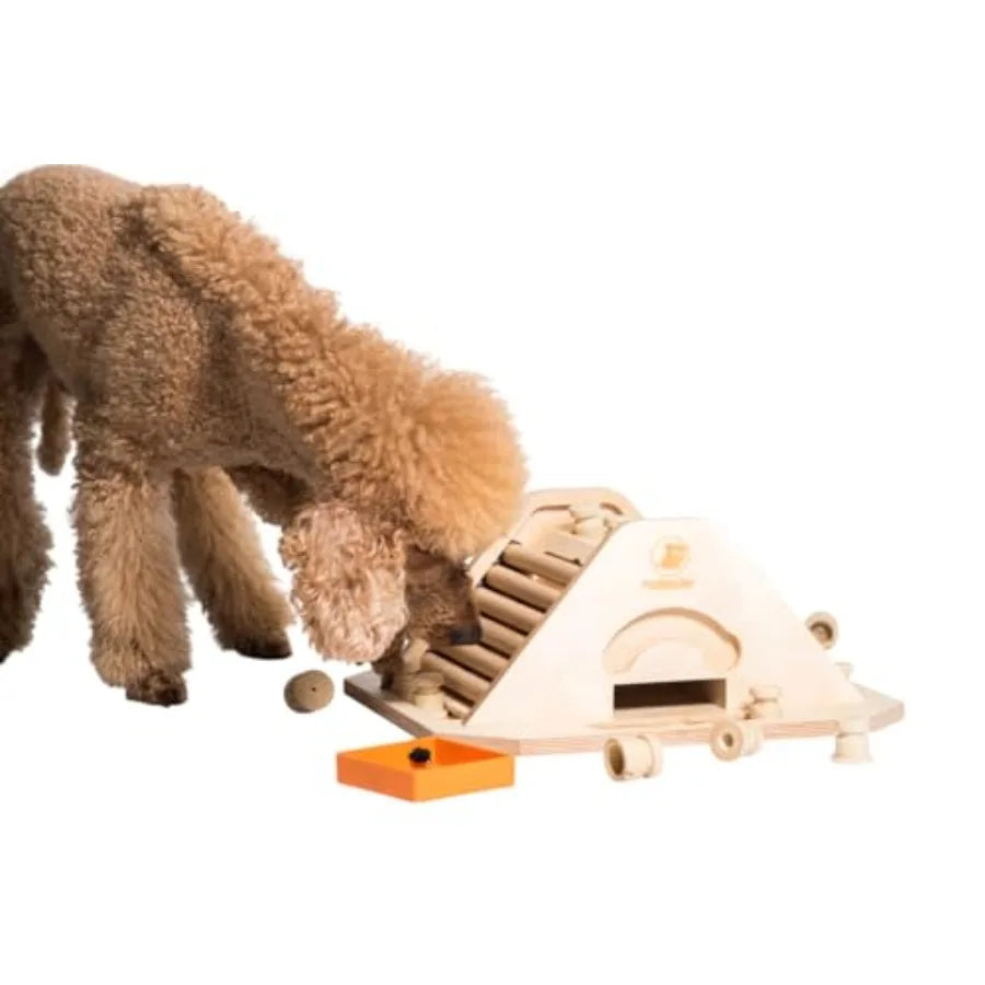 Yao Hui Huang Pyramid Brain Puzzle for Dogs