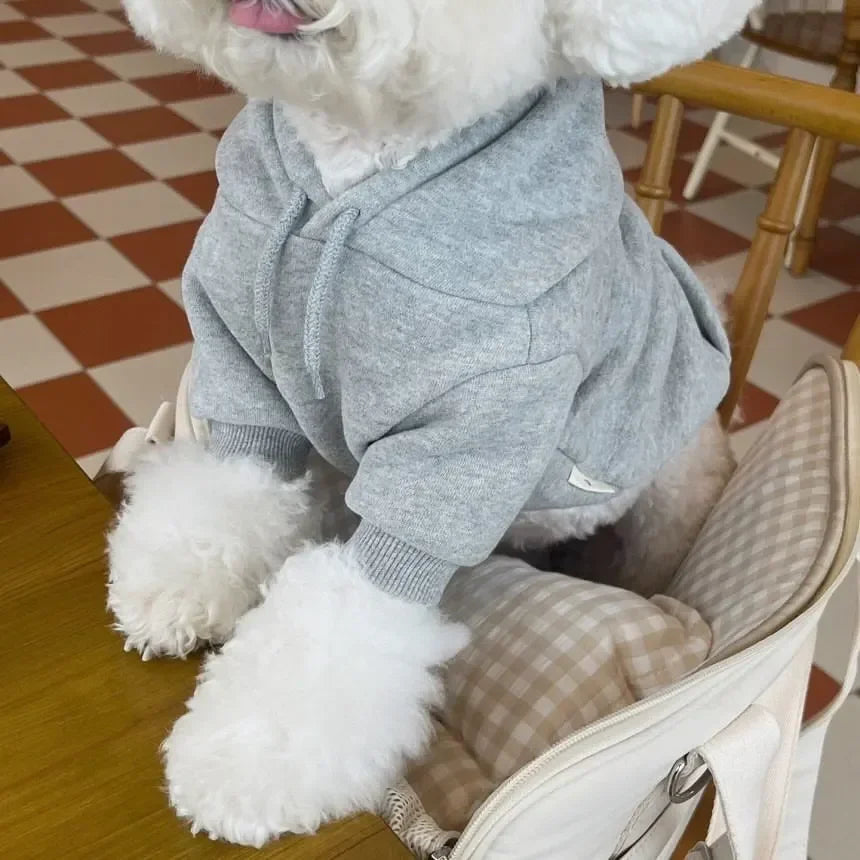 PETFRDGLOBAL Letter Hoodie Dog Clothes Cotton Costume