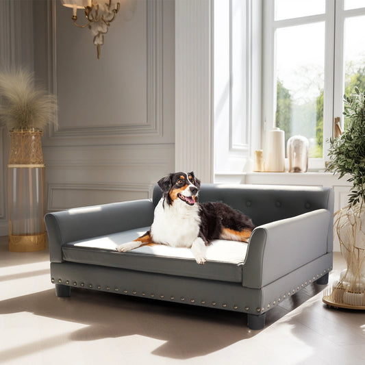 BINGOPAW Rectangle Elevated Dog Bed Modern Comfortable Sofa