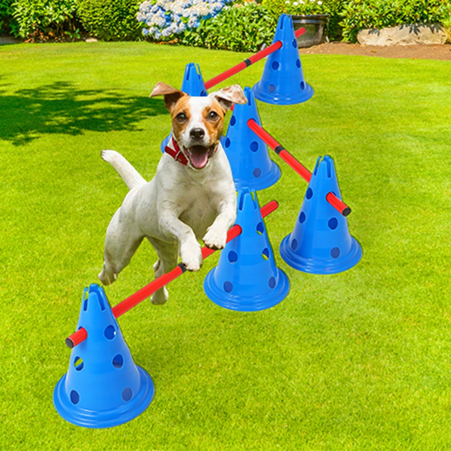 HiMISS Dog Agility Hurdle Cone Set Training Course Kit With 12 Cones