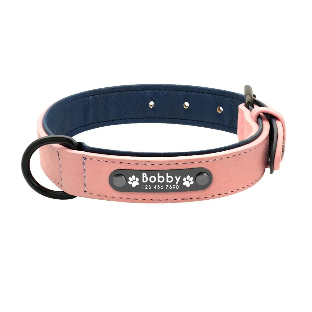 Personalized Name ID Leather Dog Collar With Custom Text
