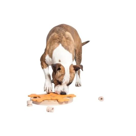 Yao Hui Huang Carousel Of Bones Wooden Dog Puzzle Toy