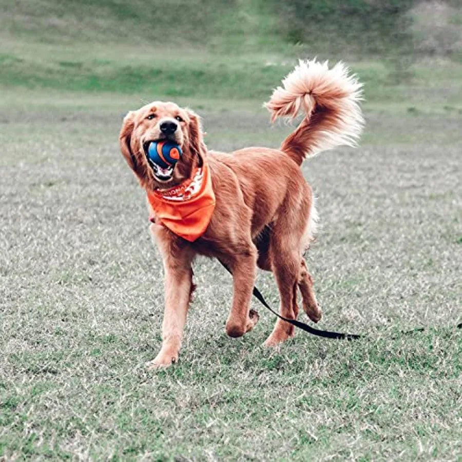 Chuckit Ultra Squeaker Ball Dog Toy Durable Interactive Play